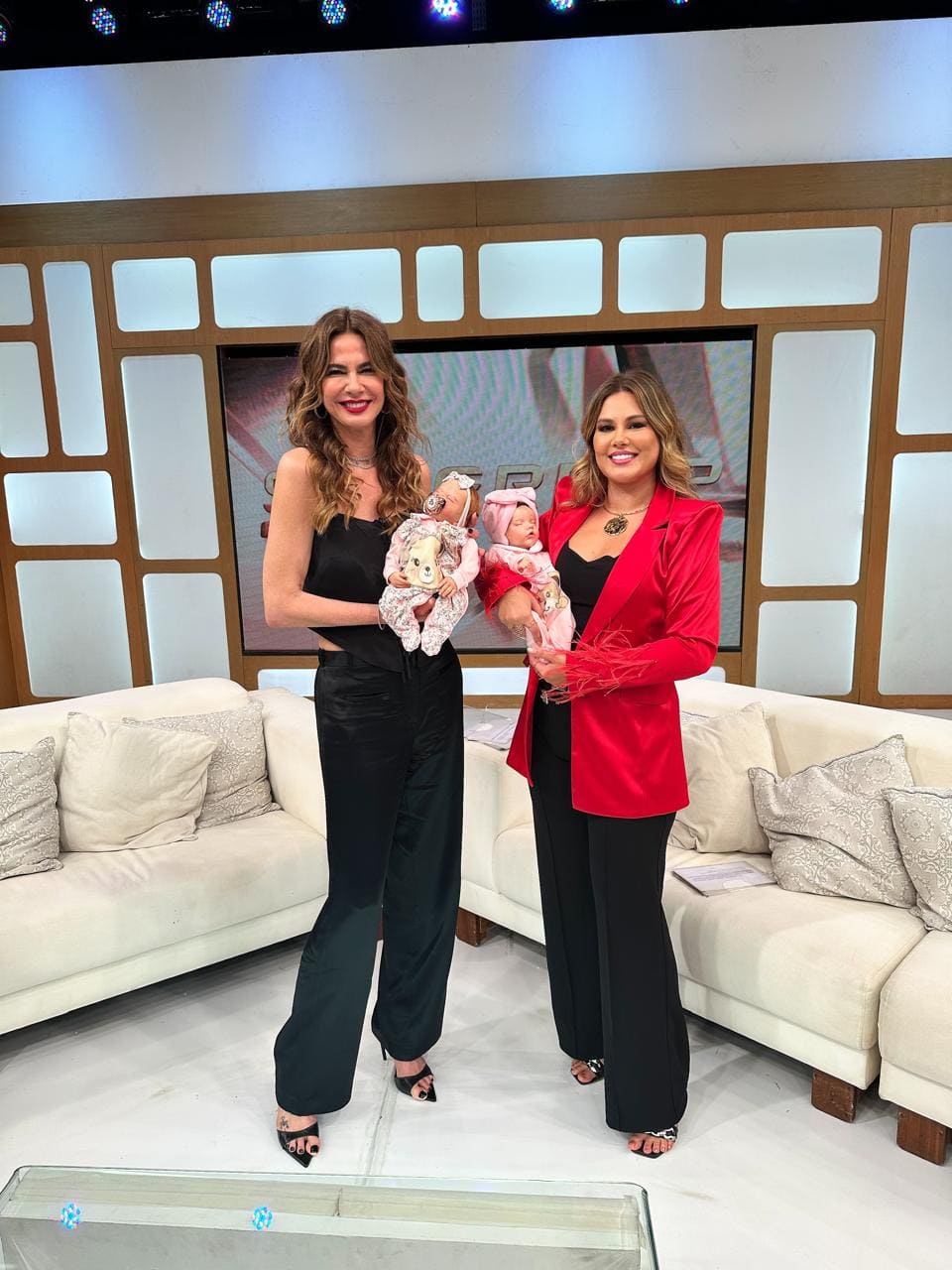 Bruna Graciotto artista